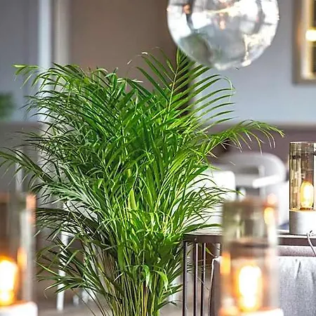 Thon Hotell Horten